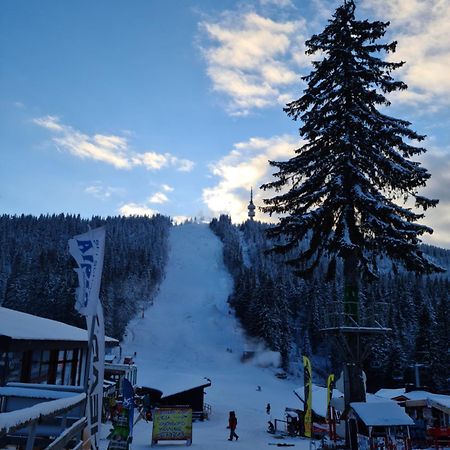 Студиа Студенец Smolyan Exterior foto