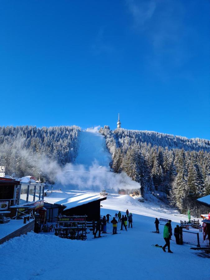 Студиа Студенец Smolyan Exterior foto